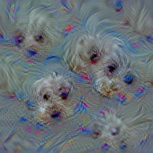 n02085782 Japanese spaniel